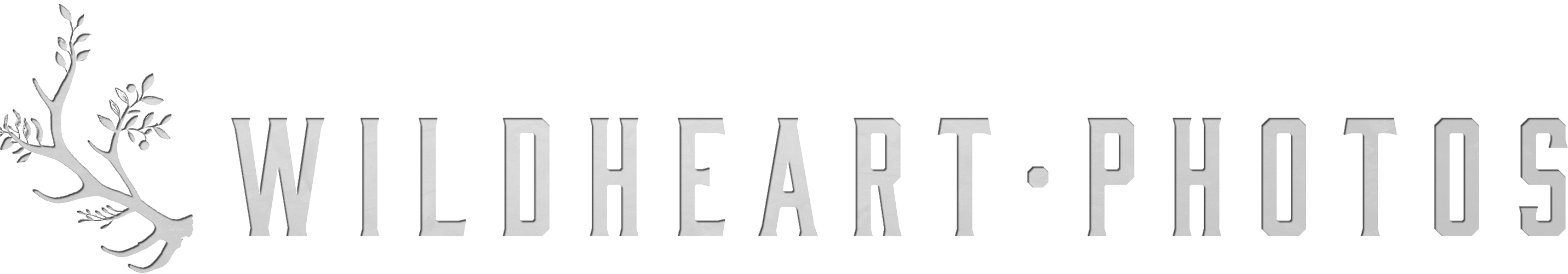 Wildheart Photos